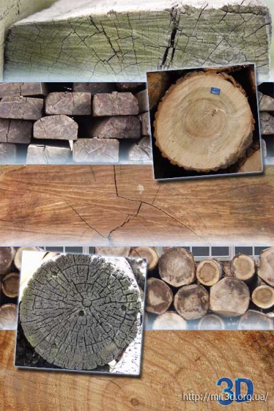 Текстуры древесных срезов.
