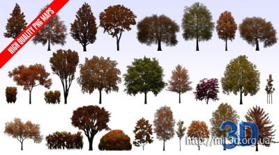Evermotion - Textures4ever vol.9 - Fall and Winter Trees