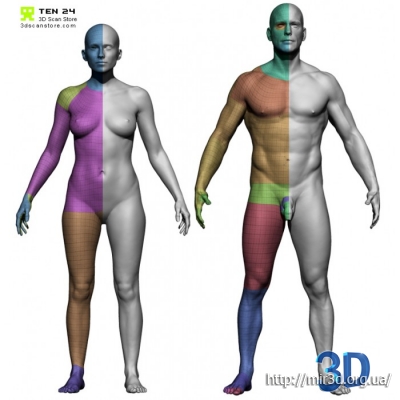3D Scan Store - Male and Female Base Mesh Bundle / 3D модель мужчины и женщины